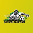 oussenilabocom
