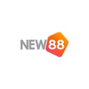 new88dd1biz