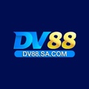 dv88sacom