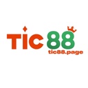 tic88page