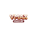 vmaxbzmax