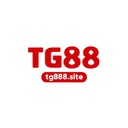 tg888site