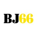 Bj66fit1