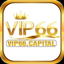 vip66capital