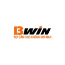 13wincocom1