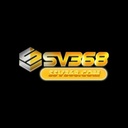 ssv368com1