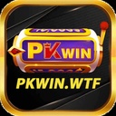 pkwinwtf