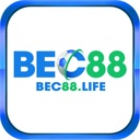 bec88life1