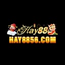hay8856com