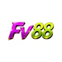 fv88taicom