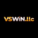vswinllc