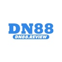 dn88review
