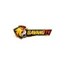 gavangtv14com