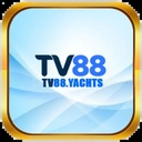 tv88yachts