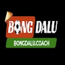 bongdalu681