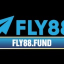 fly883