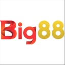 nhacaibig881