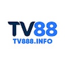 tv8881