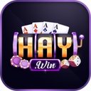 haywin41