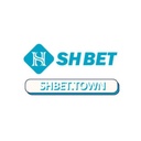 shbet84