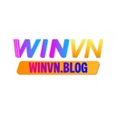 winvnblog
