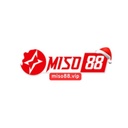 miso88vip