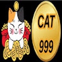 cat9992