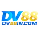 dv8817