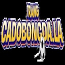 trangcadobongda7