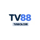 tv8816
