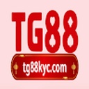 tg8881