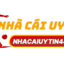 nhacaiuytin217