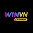 winvn_sa