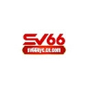 sv66kyc