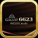 66236