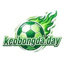 soikeobongdakeobongdaday