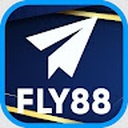 fly8878