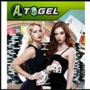 altogel2