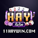 11haywin