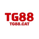 tg8818