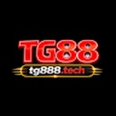 tg88282