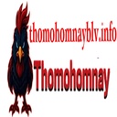 thomohomnayblvinfo