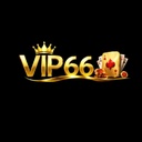 vip66vnnet