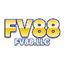 fv88llc