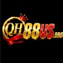 qh88118