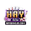 haywin65