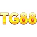 tg881