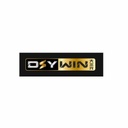 dsywin