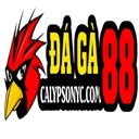 daga88agatructiepthomo