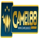 camel88881